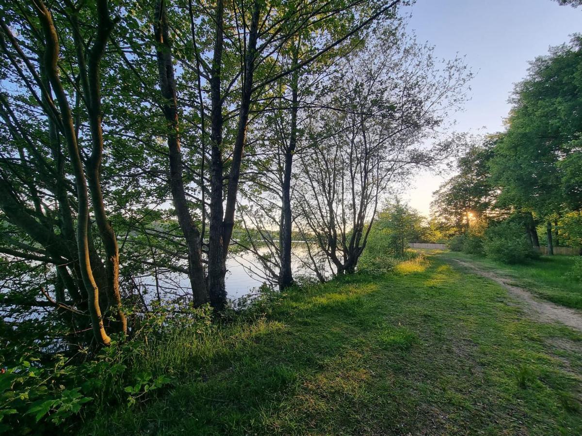 La Tiny Proche Lac Et Foret Sillé-le-Guillaume Eksteriør bilde