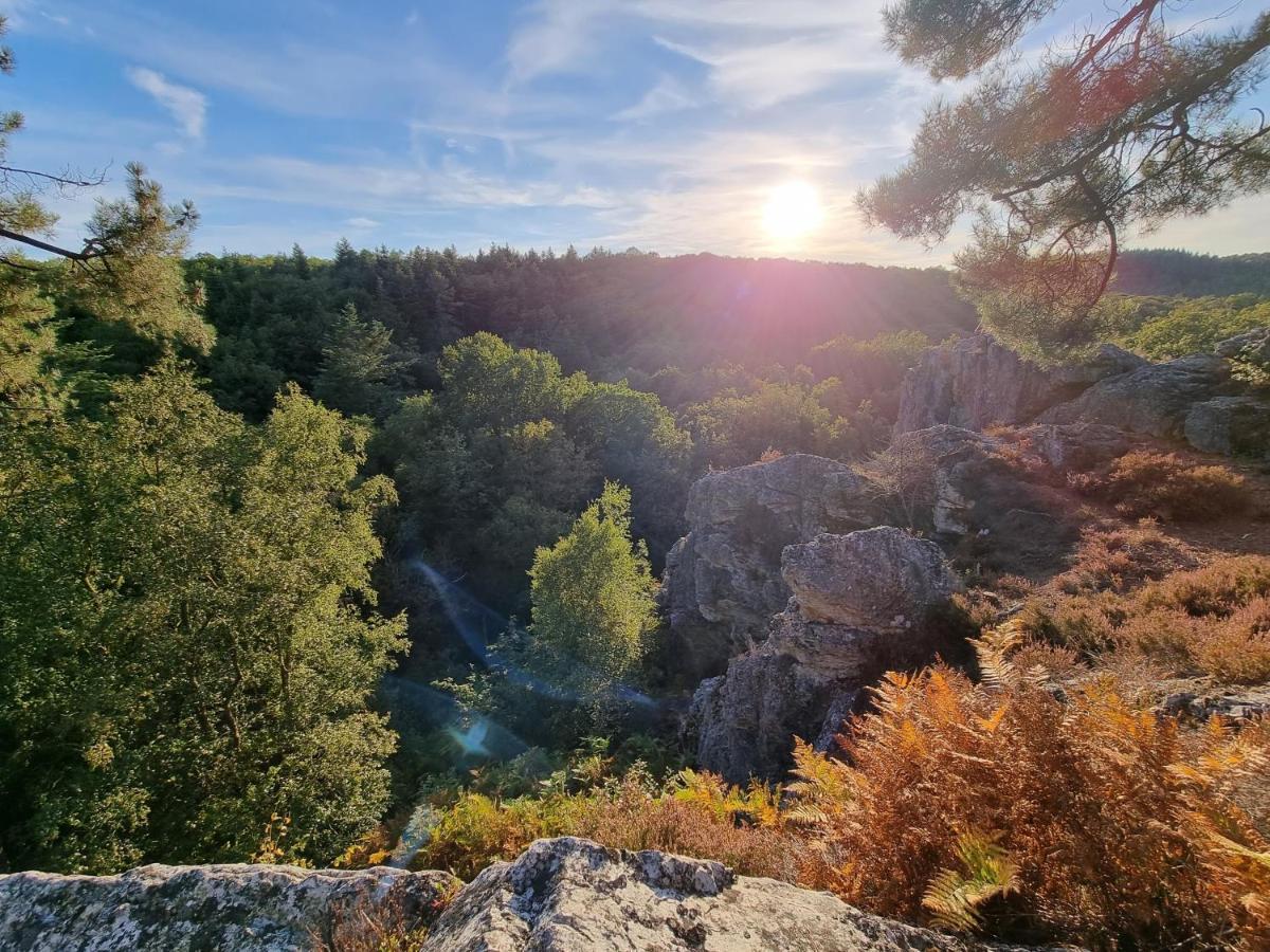 La Tiny Proche Lac Et Foret Sillé-le-Guillaume Eksteriør bilde